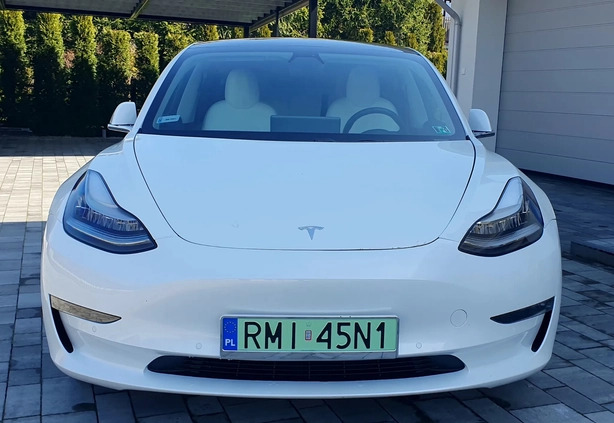 Tesla Model 3 cena 149000 przebieg: 50500, rok produkcji 2019 z Mielec małe 121